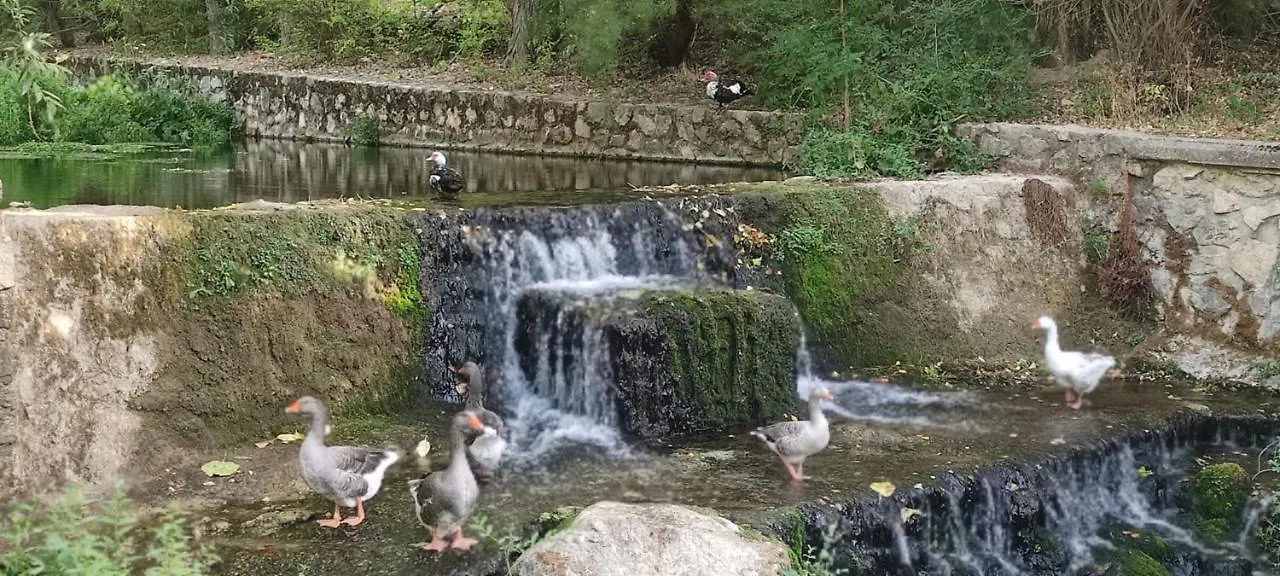 Lägenhet Alojamientos Puerta Del Parque Cazorla